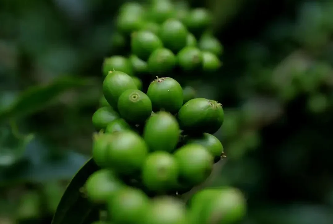 steptodown.com922417