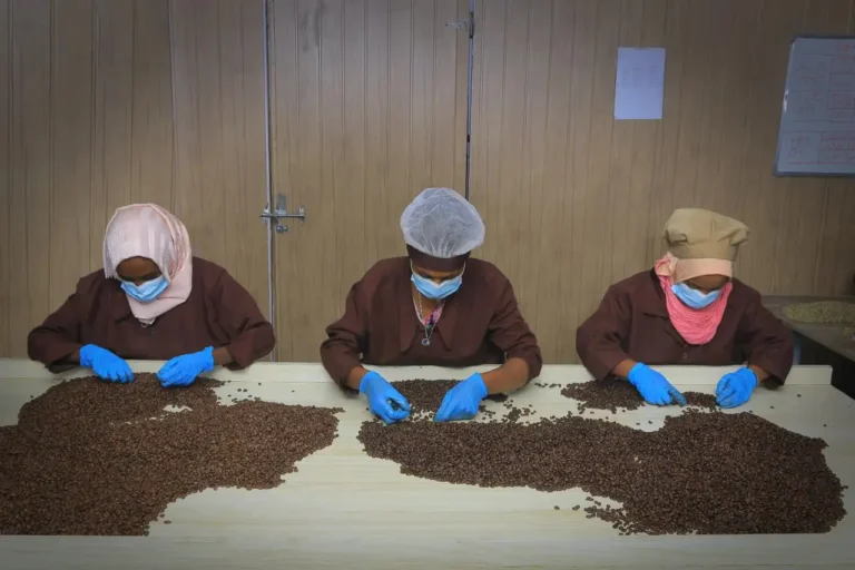 photo_2023-10-08_22-40-59